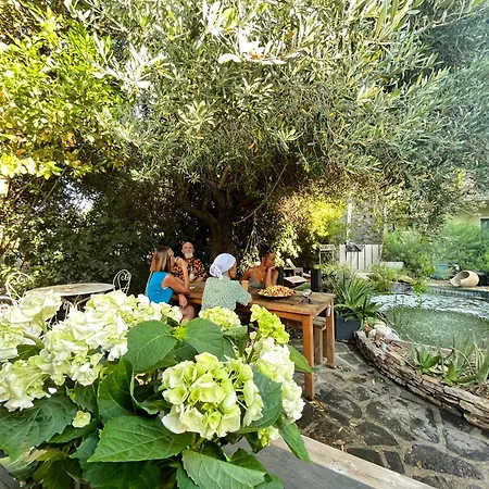 K.n.c.1601 Frühstückspension